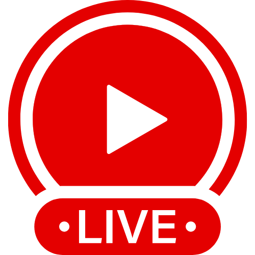 Twerk Facesitting | Live Webcam Shows & Interactive Adult Entertainment